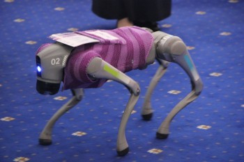 neurorehab_2025_038.jpg